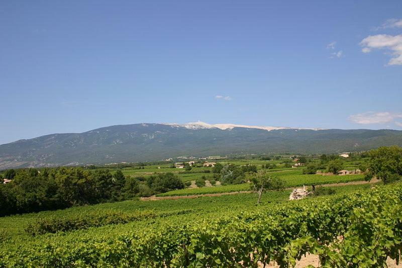 Chez Zabou Apartment Carpentras ภายนอก รูปภาพ